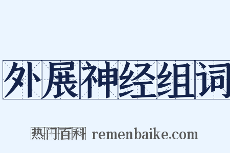 外展神经组词是什么意思的图片